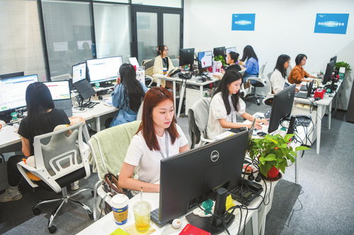 ?？诩铀贁祿缇硺I務發展，打造數字高地與軟件開發新引擎