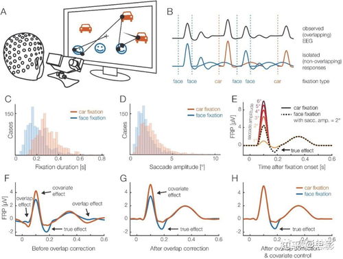 思影科技眼動(dòng)數(shù)據(jù)處理服務(wù)與軟件開(kāi)發(fā)，賦能精準(zhǔn)視覺(jué)洞察